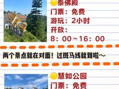 -老炳·七丛松甘草水果