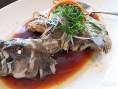 -彩丰楼中餐厅·仁恒洲际酒店