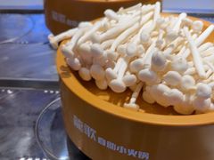 -龍歌自助小火锅(秦淮水游城店)