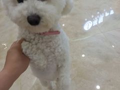 -上海富悦大酒店(松江店)