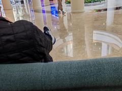 -上海市东方公证处