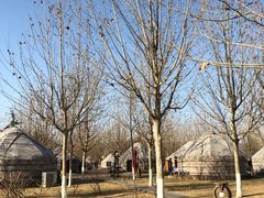 -九十九顶毡房(阜石路店)