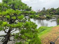 -水前寺成趣园