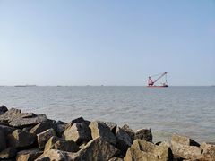 -上海滨江森林公园