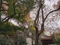 -白沙古井