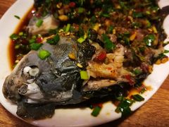 -老号尤兔头(幸福店)