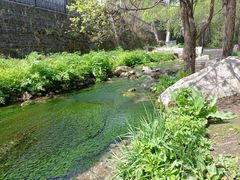 -玉渡山自然风景区