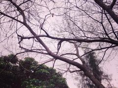 铁路文化公园-铁路文化公园