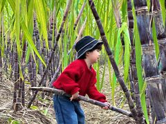 -汉长安城未央宫国家考古遗址公园