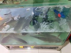 -煲来饱去冷水鱼