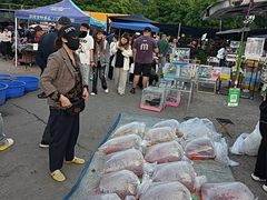 -中环花鸟鱼虫市场