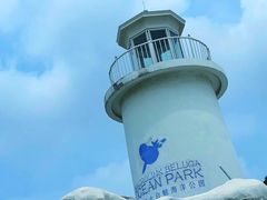 -芜湖新华联大白鲸海洋公园