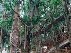 -沈阳龙润夏宫温泉水乐园