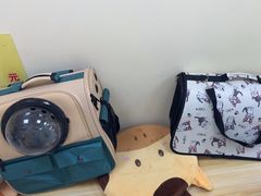 -全心全意连锁动物医院·微创中心·内科急重症·心脏专科(丰管路店)