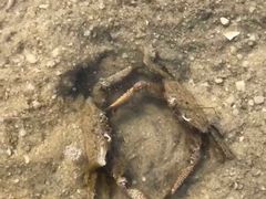 -北海金海湾红树林生态旅游区