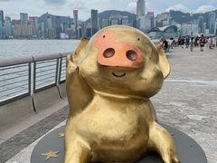 -星光大道