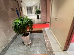 -大连金石滩绿发温泉假日酒店