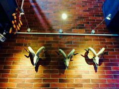 -老北京热气涮羊肉(正荣时代广场店)