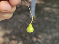 -艾溪湖湿地公园