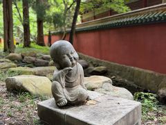 -天目山大树王景区