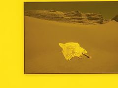 -胶囊画廊