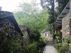 -MOJ coffee(瓯海泽雅水碓坑店)