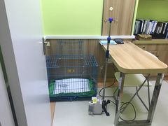 术后单间-瑞鹏宠物医院·宠保定点·心脏科·内科(御桥分院)