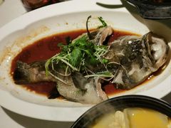 -顺峰(农展馆店)