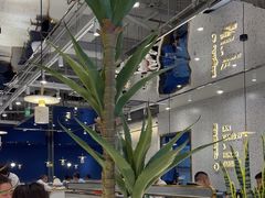 -兰湘子·湘菜小炒(崂山丽达店)