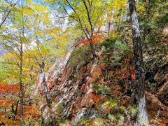 -五女峰国家森林公园