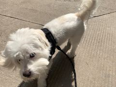 -美美酱宠物(外运路小区店)