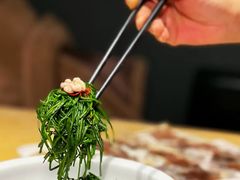 -蒙料·手把肉(望京店)