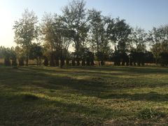 -汉长安城未央宫国家考古遗址公园