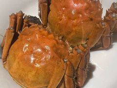 -扬州狮子楼·非遗淮扬菜(东关街店)