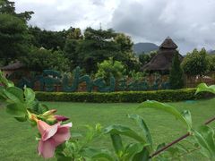 -黄色小屋