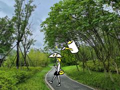 -白鹭湾湿地公园