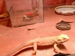 -多彩贵州城极地海洋世界