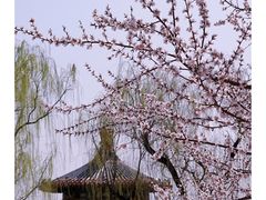 -北海公园