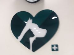 -瑞派康怡24h宠物医院·犬猫医疗中心·微创绝育(瑞景分院)