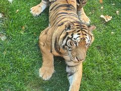 -北京野生动物园