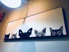 -吃饼人西餐(南开店)