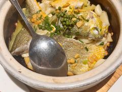 塔吉锅豆酱黄花鱼-黑明餐厅(白鹭洲店)