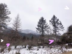 -硗碛藏寨·神木垒景区