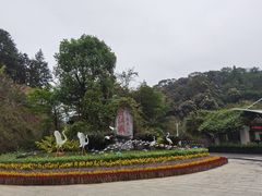 -广州白江湖森林公园