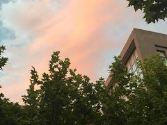 -鲜芋仙(高新万达广场店)