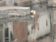 -芙蓉街-王府池子