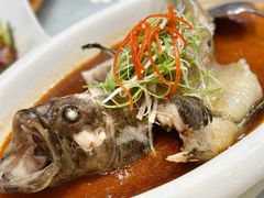 清蒸老虎斑-金米箩大酒店(五角场店)