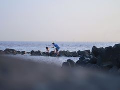 -南汇嘴观海公园