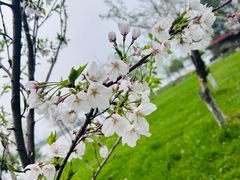 -金银湖国家城市湿地公园
