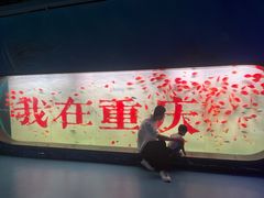 -重庆欢乐海底世界